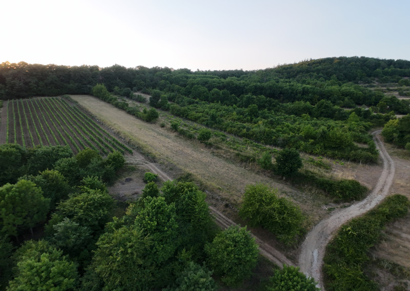 arete.sk – PREDAJ 3892m2 VINICE, PEZINOK, STARÁ HORA