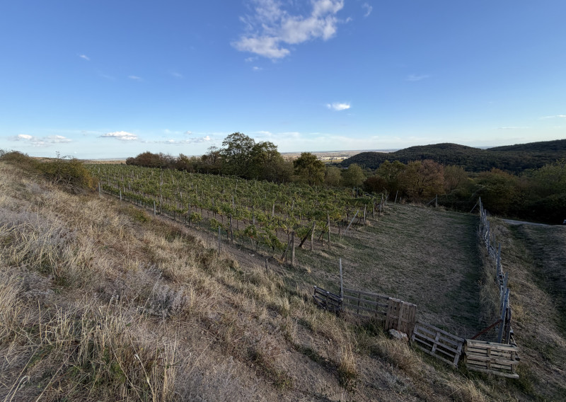arete.sk – PREDAJ 3012m2 VINICE, PEZINOK, STARÁ HORA