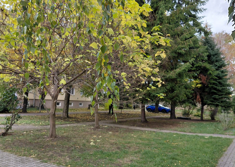 ARETÉ REAL-PREDAJ 2 IZBOVÉHO BYTU V PEZINKU, SLNEČNÝ, PRIESTRANNÝ, REKONŠTRUKCIA-CENTRUM