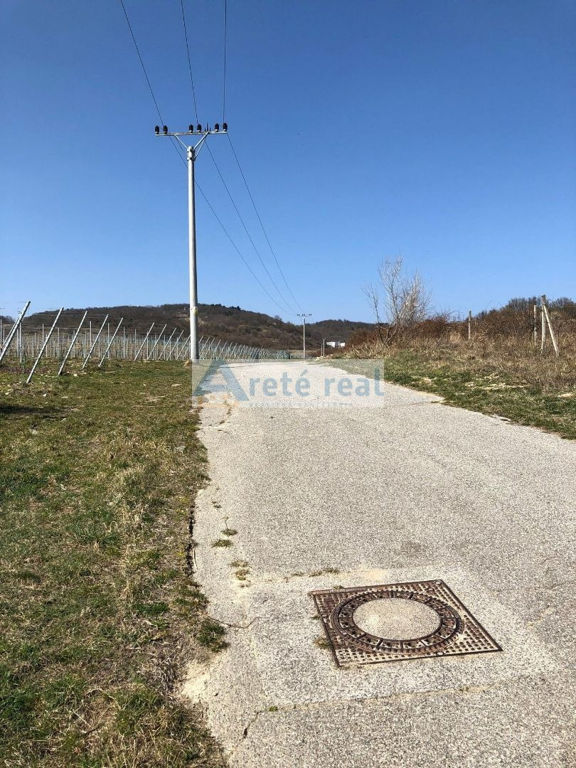 Areté real - Predaj vinice v Modre pri Kalvárii