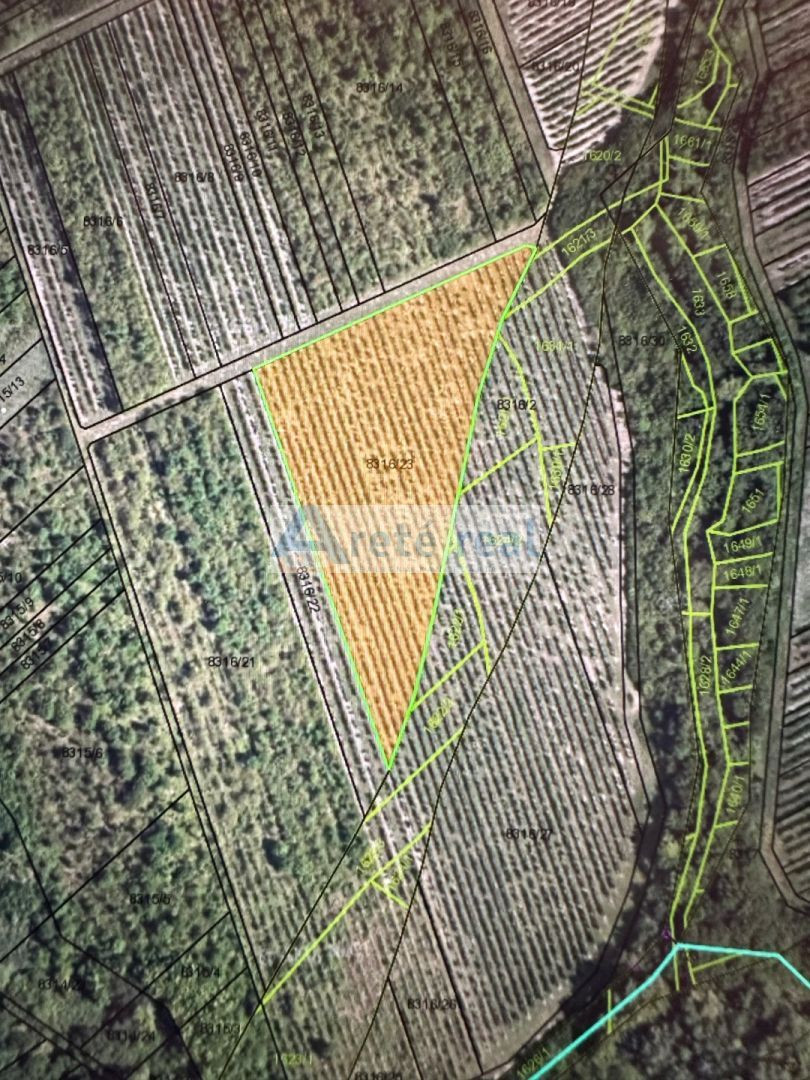 ARETÉ REAL - PREDAJ 6452 M2 OBRÁBANEJ VINICE, MODRA, ČASŤ  LAZÁRE