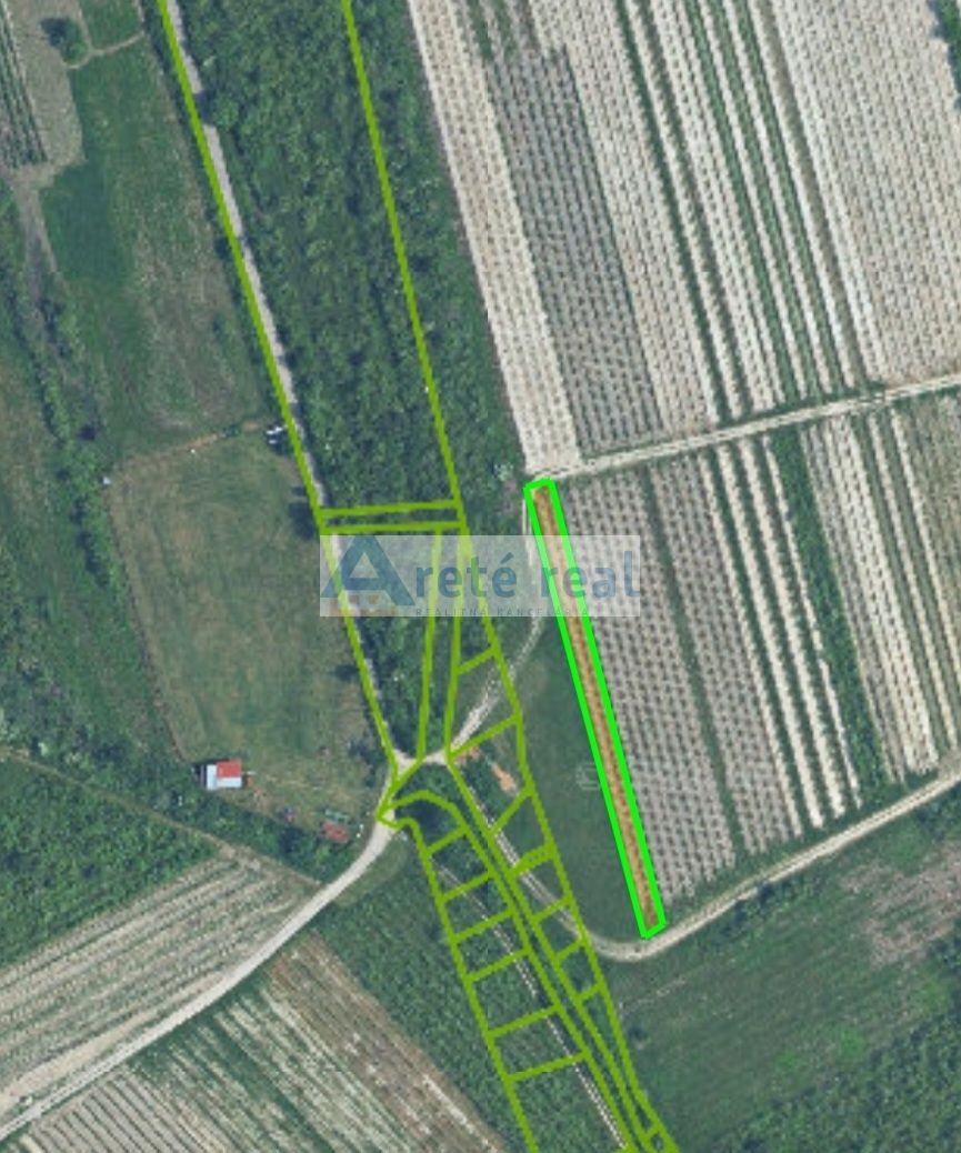 Areté real - Predaj pozemku - druh vinica v Modre