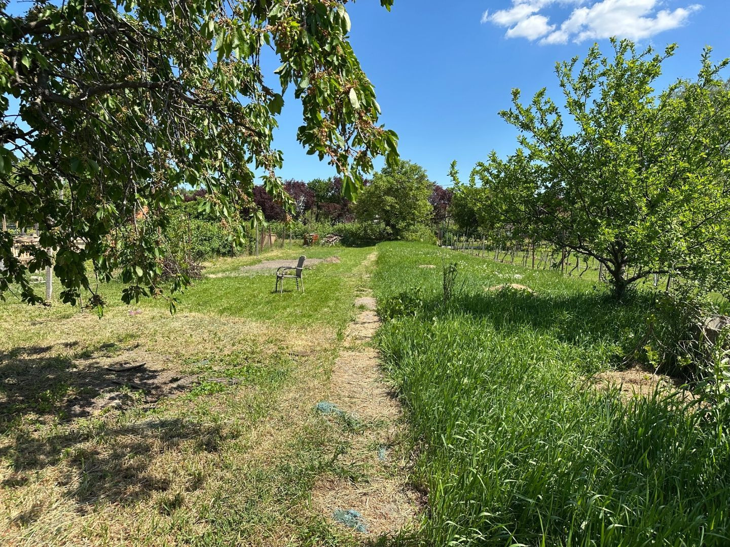 ARETÉ REAL – PREDAJ STAVEBNÉHO POZEMKU S VINOHRADNÍCKYM  DOMOM A NEBYTOVOU BUDOVOU V CENTRE MODRY, ŠTÚROVA