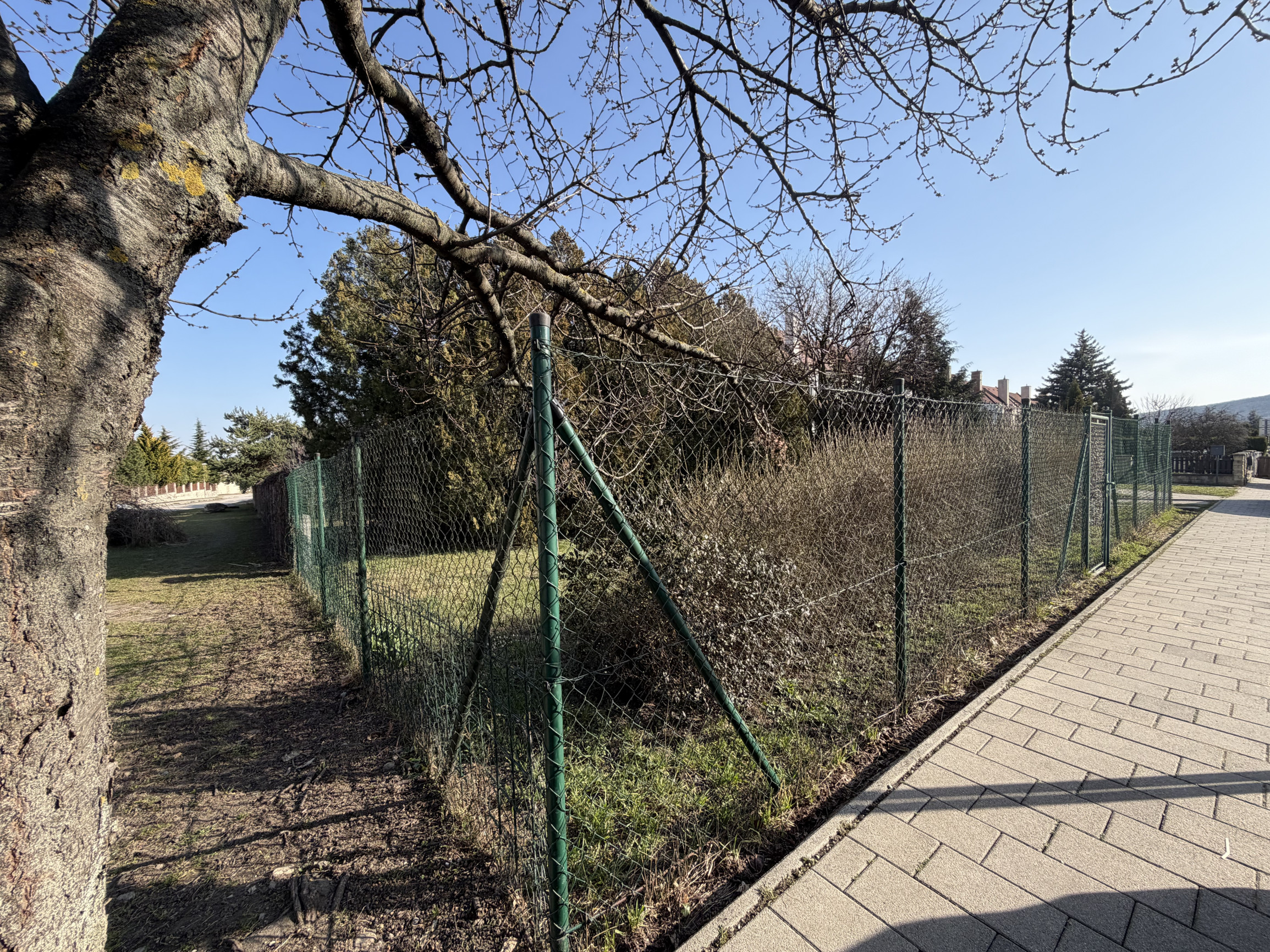 ARETÉ REAL - PREDAJ 896 m2 STAVEBNÉHO POZEMKU, LIMBACH, SLNEČNÁ