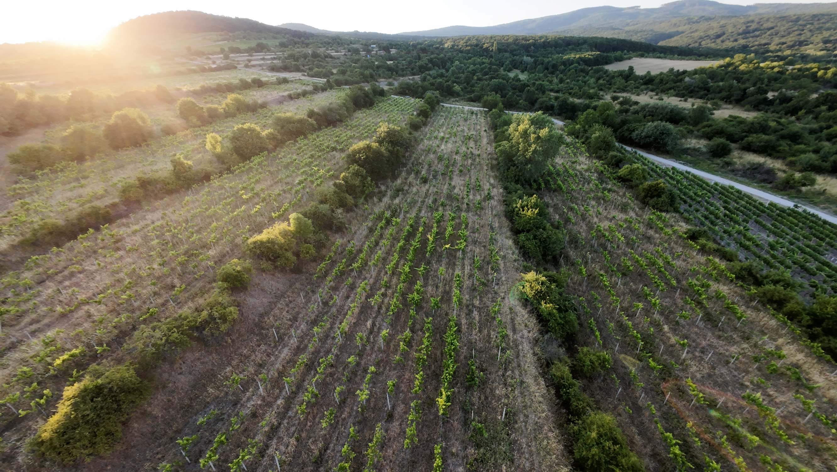 ARETÉ REAL – PREDAJ 3529m2 VINICE, PEZINOK, STARÁ HORA
