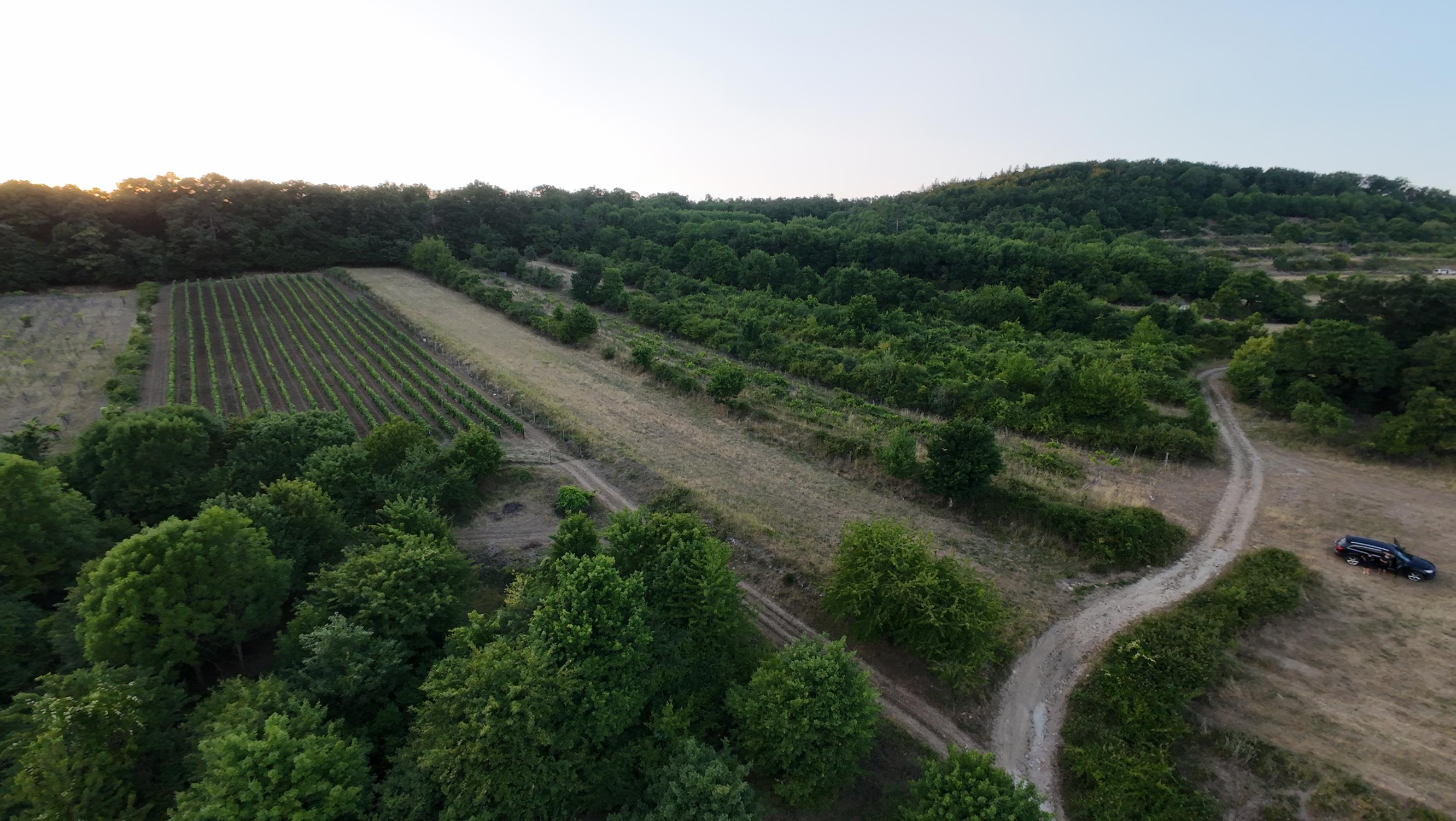 ARETÉ REAL – PREDAJ 3892m2 VINICE, PEZINOK, STARÁ HORA