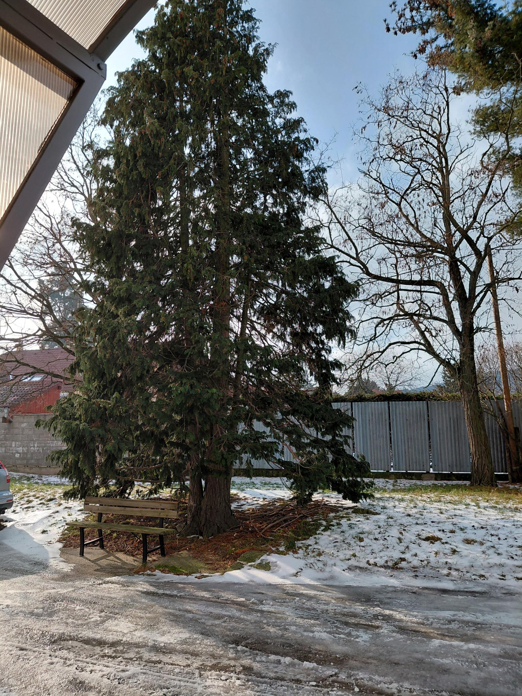 ARETÉ REAL- PREDAJ TEHLOVÉHO 3IZB.BYTU V MODRE, CENTRUM NA SKOK, BALKÓN A MUROVANÁ PIVNICA